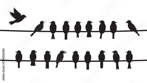 Silhouette of birds sitting on a wire vector illustration of a flock of birds perched on a power line isolated on white background