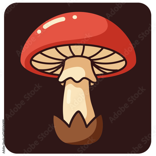 Charming Cartoon Red Mushroom Vector Illustration with Cream Stem and Brown Base