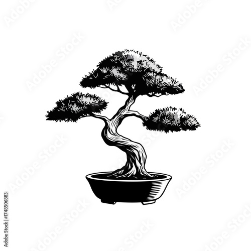 Elegant Traditional Japanese Bonsai Tree Vector Illustration in Monochrome Style