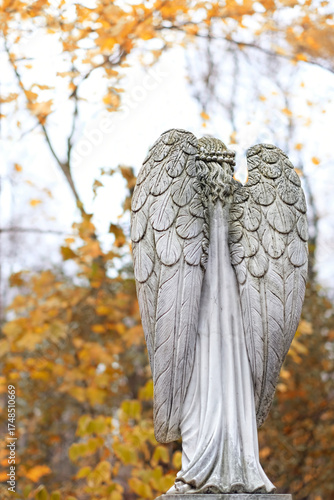 rear view of beautiful Angel statue on old cemetery, autumn nature background. Design for condolence, mourning card or obituary. symbol of religion, faith, mourn, memory. all saints day, All Souls Day