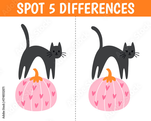 Cute cat on a pumpkin in cartoon style. Find 5 differences. Educational matching animal game for children. Printable worksheet with solution for school and preschool. Vector cartoon illustration.