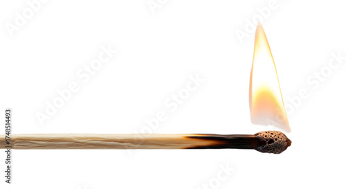 Burning Matchstick Flame Isolated on Black whisk