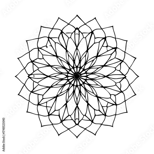 Intricate floral mandala, radiating symmetry and beauty