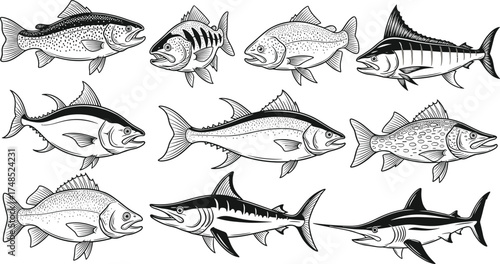 Tableau sur toile Fish species icon set, marine life illustration, ocean biodiversity, black and w