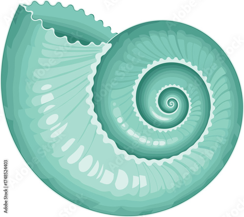 Nautilus shell, spiral design, teal marine, Fibonacci pattern, golden ratio, sea geometry, CAD drawing, flat vector, technical sketch, nature symmetry