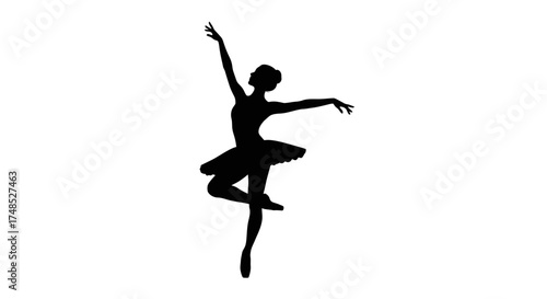 Ballet Dancer Silhouette | Graceful Ballerina Pose in Tutu