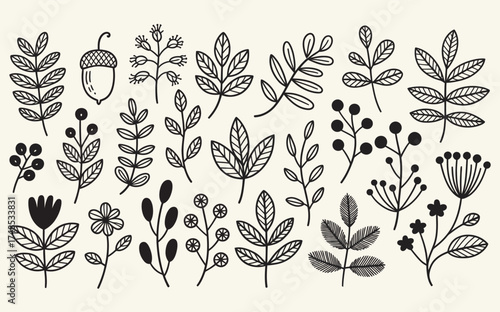 Botanical Variety An Assortment of Plant Drawings