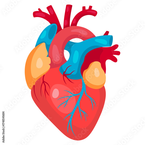 Heart medical concept flat vector