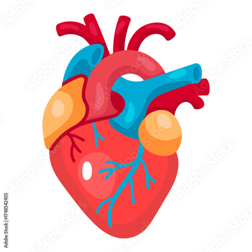 Heart medical concept flat vector