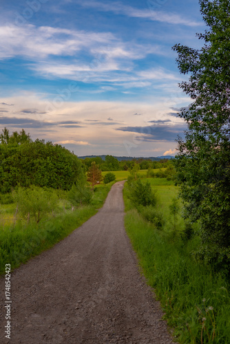 road in Bieszczady mountains 
