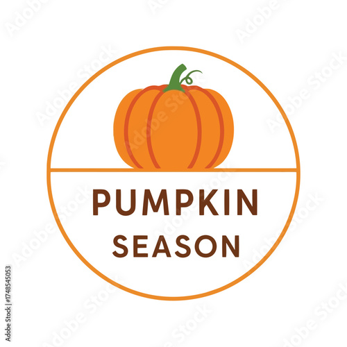 Autumn pumpkin season graphic with text for fall harvest and thanksgiving vector