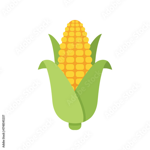 Fresh ripe corn cob healthy vegetable food illustration simple design vector