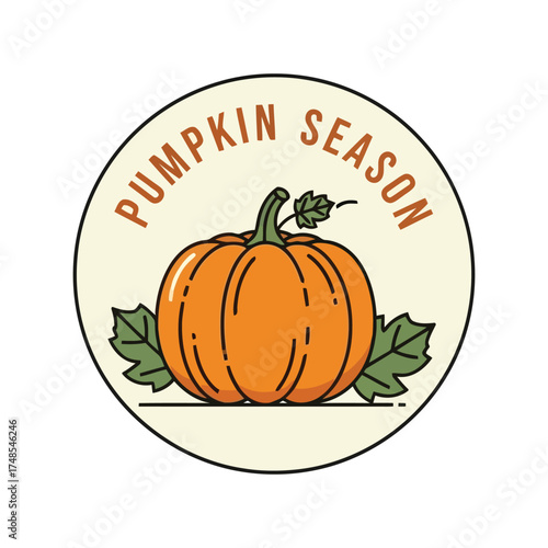 Autumn pumpkin harvest season circular emblem illustration festive fall harvest celebration vector