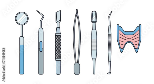 Collection of Professional Dental Tools and Human Tooth Diagram.
