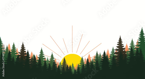 Silhouette of Evergreen Forest with Rising Sun.