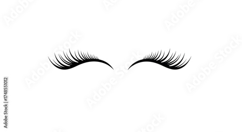 Long Black False Eyelashes for Beauty and Eye Makeup.