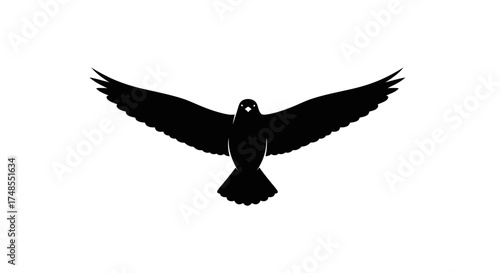 Silhouette of a black bird with outstretched wings in flight.