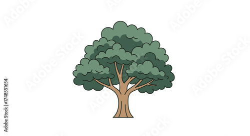 A stylized illustration of a large mature deciduous tree with a full green canopy and a sturdy brown trunk.