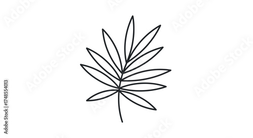 Minimalist Line Art Drawing of a Delicate Fern Frond.
