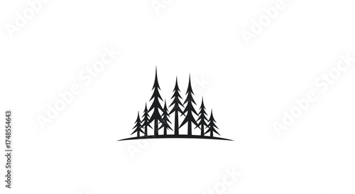 Silhouette of a dense cluster of evergreen pine trees.