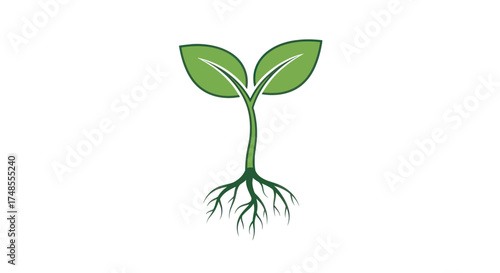 Green Sprout with Roots: A Symbol of Growth and New Beginnings.
