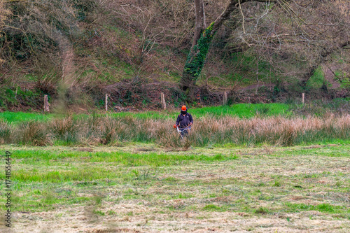 Chantier de débroussaillage