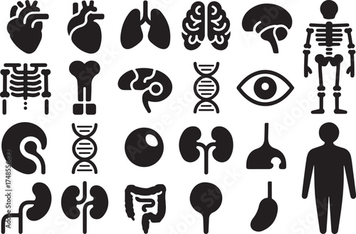 Collection of simple black silhouette icons depicting human internal organs and anatomy