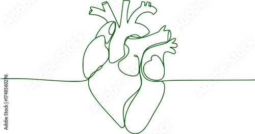 Minimalist Green Line Art of a Human Heart on White Background