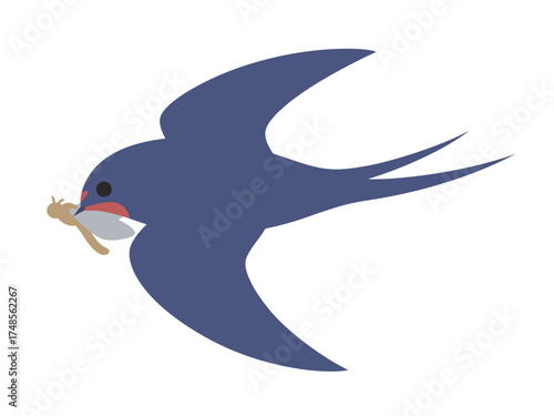 低空飛行して虫を捕まえたツバメのイラスト