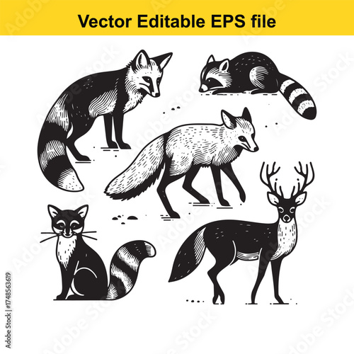 Vector art of a set of black and white vector illustrations featuring various forest animals such as foxes, raccoons, and a deer, presented in a stylized artistic manner