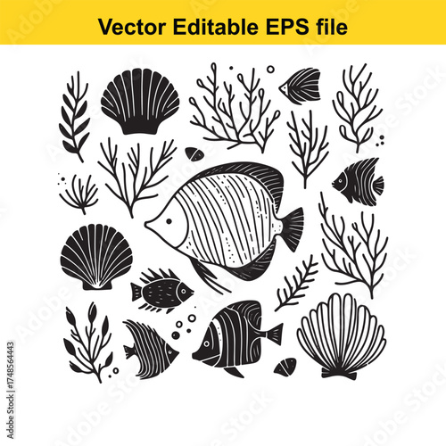 Vector art of a diverse set of black and white vector illustrations featuring various marine creatures like angelfish and seashells, set against a clean for versatile use