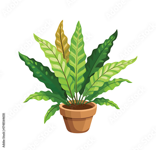 Lush green potted fern with vibrant leaves bringing natural beauty indoors