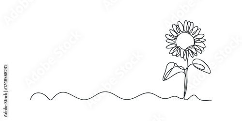 Single line drawing of a sunflower bloom and stem