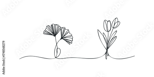 Minimalist line art of ginkgo leaves and tulips