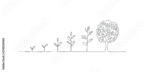Sequential plant growth depicted in minimalist line art style