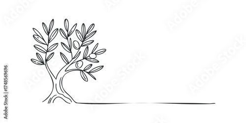 Hand-drawn olive tree with fruit against white space