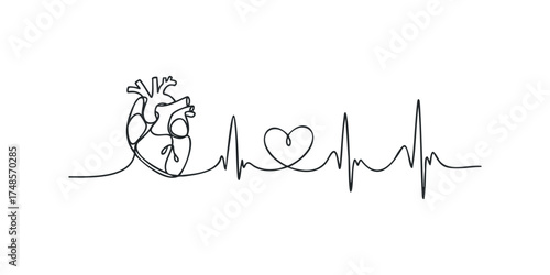 Continuous Line Drawing of Human Heart and EKG Waveform
