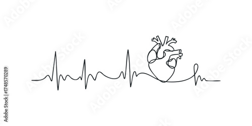 Human Heartbeat EKG Line Graphic