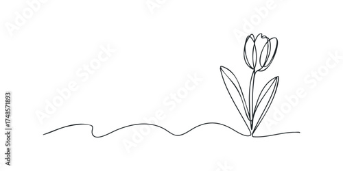 Single line drawing of a tulip flower with stem and leaves