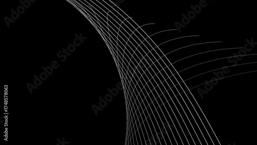 Abstract Geometric Curved Lines on Black Background