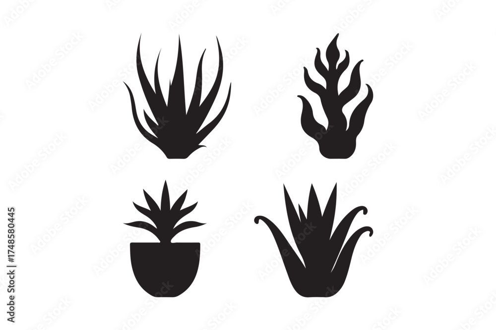 Obraz premium Four black silhouette illustrations of succulent plants