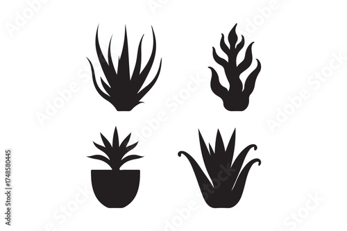 Four black silhouette illustrations of succulent plants