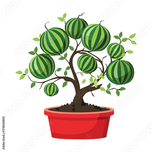 Decorative Watermelon Tree Bonsai Plant in a Square Terracotta Pot Full of Ripe Fruit Graphic Art for Healthy Eating Concepts