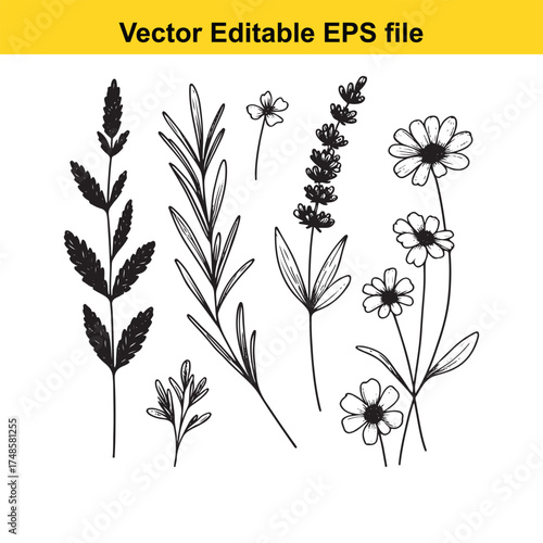 Vector art of collection of handdrawn botanical elements featuring various plants, flowers, and herbs