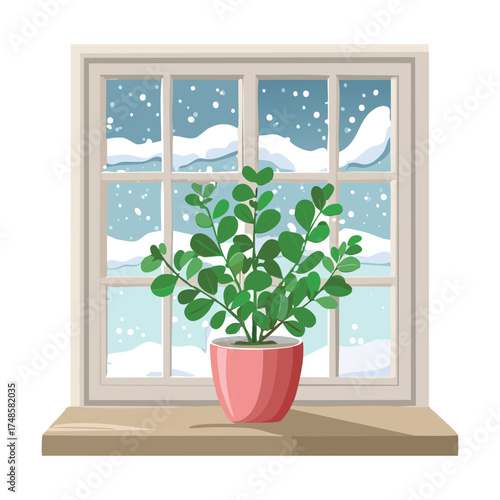 Healthy Potted Green Plants Sitting on a Snowy Window Sill Inside the Home