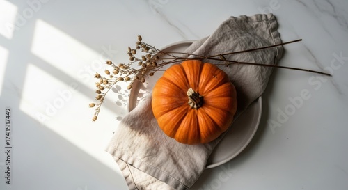 Autumn orange pumpkin on linen cloth with dry botanical arrangement