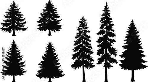  Pine tree silhouette vector set, evergreen forest illustration, black conifer tree design, winter nature clipart, outdoor landscape art, natural woodland element