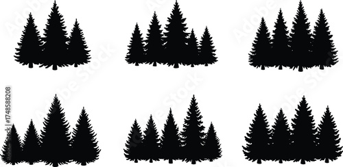 Silhouette illustration of pine trees and evergreen forest, black vector design, conifer woodland nature art, winter landscape tree collection, minimal forest graphic