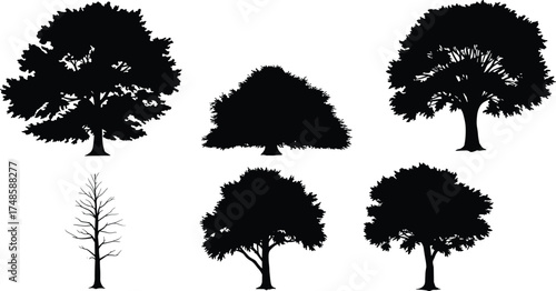 Silhouette illustration of deciduous trees, black vector design, natural forest elements, detailed tree shapes, woodland nature art collection for landscape and outdoor scene graphics