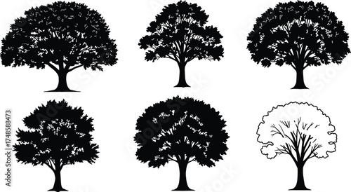  Tree silhouette vector set, natural forest illustration with leafy trees, detailed foliage design, botanical nature elements, black tree shapes collection for landscape art